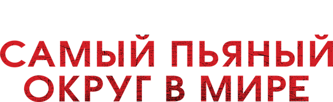 Чат-бот и телефон доверия спасают: с дорог Башкирии убрали 229 пьяных водителей