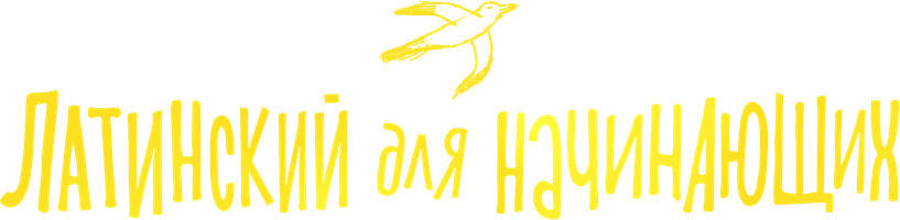 Фильм Латинский для начинающих