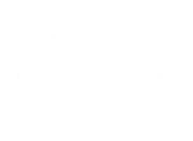 Лучшие друзья собак (программа 2019)