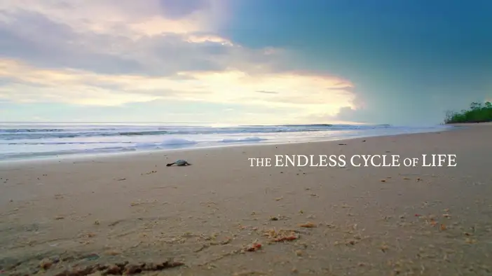 Трейлер (английские субтитры)