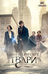 [4K] Фантастические твари и где они обитают