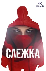 Слежка