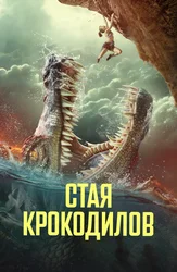 Стая крокодилов
