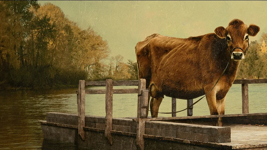 Первая корова