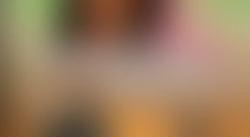 Откричат журавли