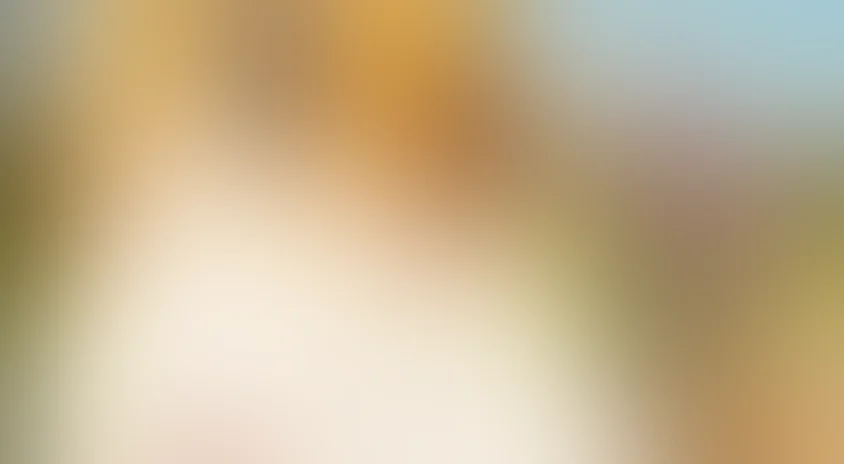 Лесси – лохматый детектив