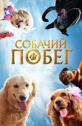 Собачий побег