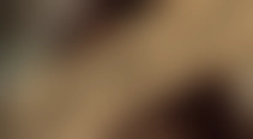 Месть: История любви