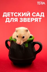 Детский сад для зверят