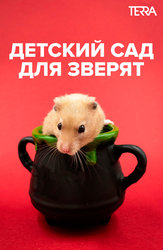 Детский сад для зверят