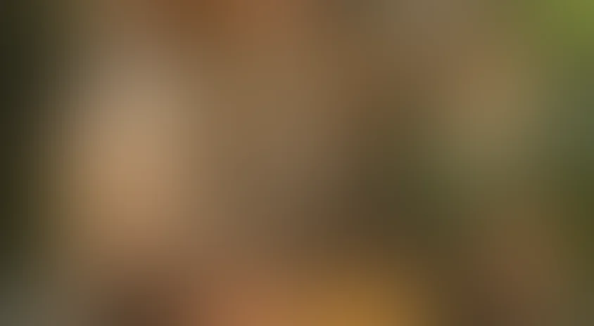 Иван Семенов: Большой поход