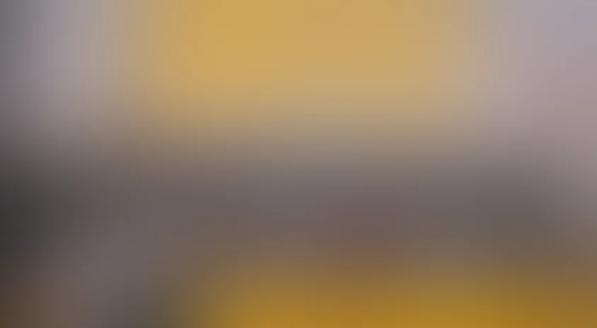 Похождения бравого солдата Швейка