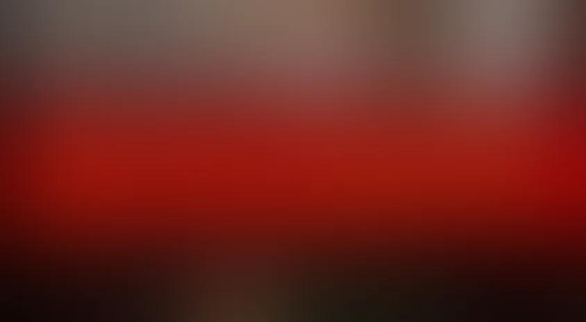 Пусть говорят (2011)