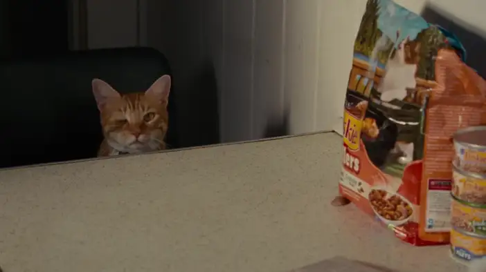 Фрагмент 6 (английский язык)