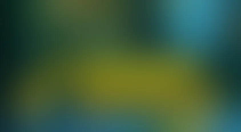 Сэмми и друзья