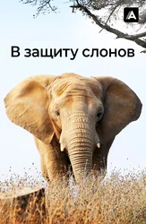 В защиту слонов