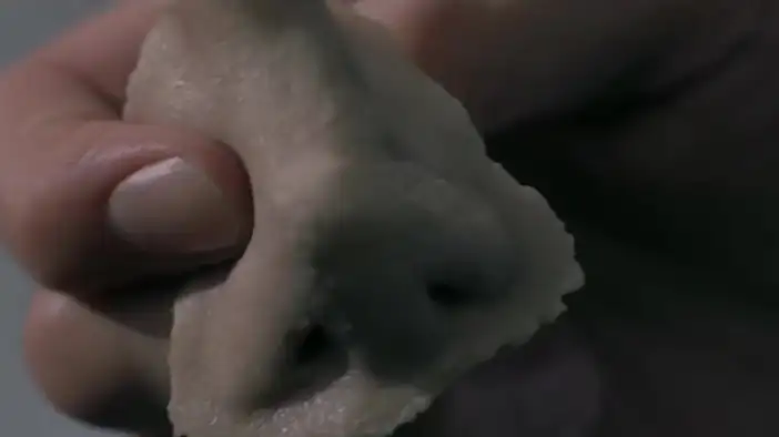 Фрагмент 6 (английский язык)