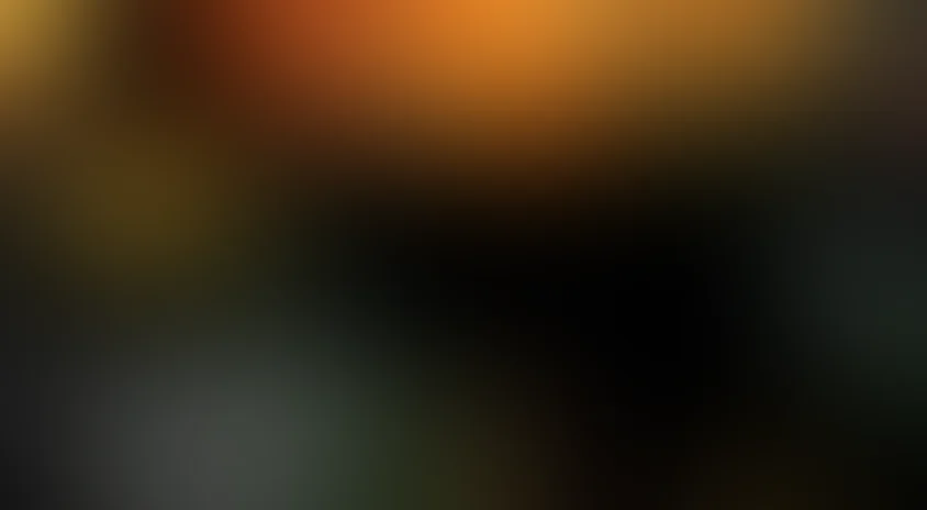 Товарищи полицейские