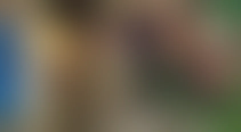 Лесной разбойник