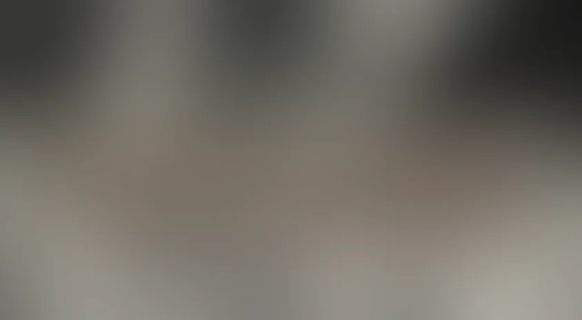 Баллада о Беринге и его друзьях