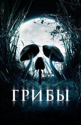 Грибы