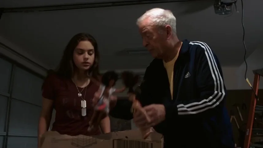 Дорогой диктатор