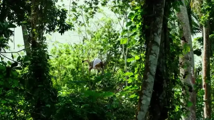 Фрагмент 2 (дублированный)