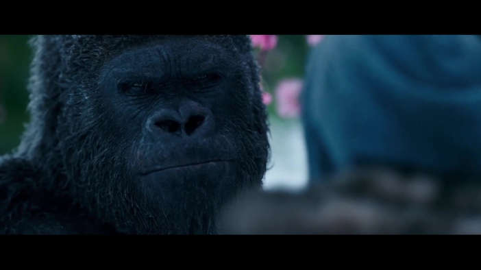 Rocket (Planet of the Apes) Heroes Wiki Fandom