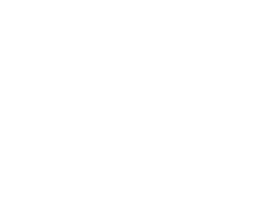 Операция «Сатана»