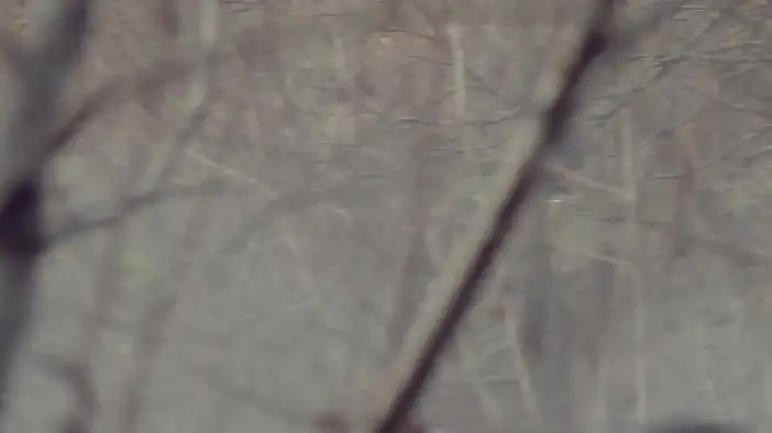 Промо-ролик