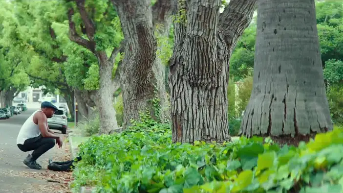 Фрагмент (дублированный)