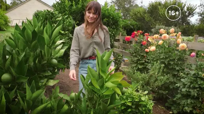 ТВ-ролик (дублированный)