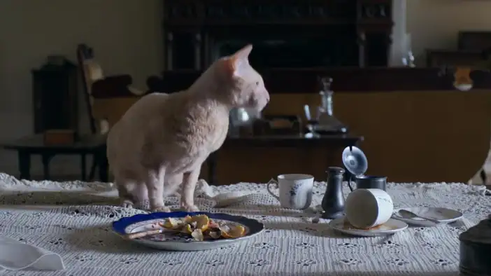 ТВ-ролик (английский язык)