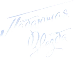 Падающая звезда (2024) (сериал 2024)