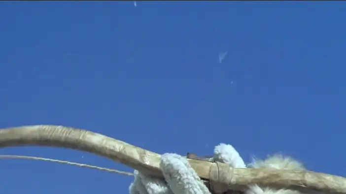 Трейлер (китайский язык)