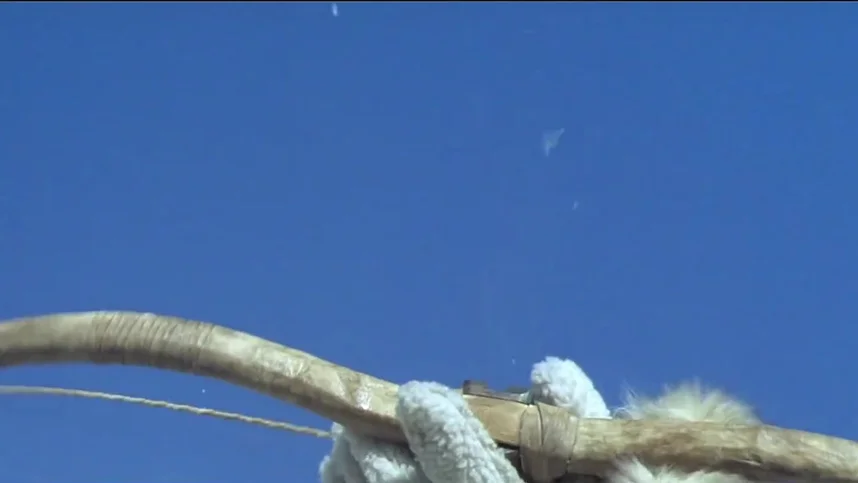 Убить императора