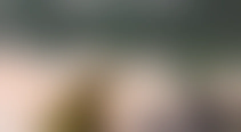 BBC: Дикий Китай