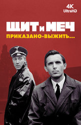 Щит и меч