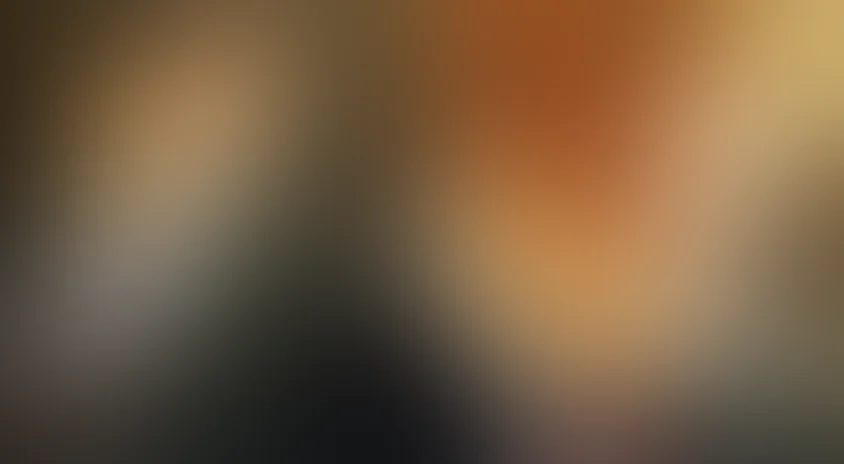 Пламя и Цитрон (Флэйм и Цитрон)