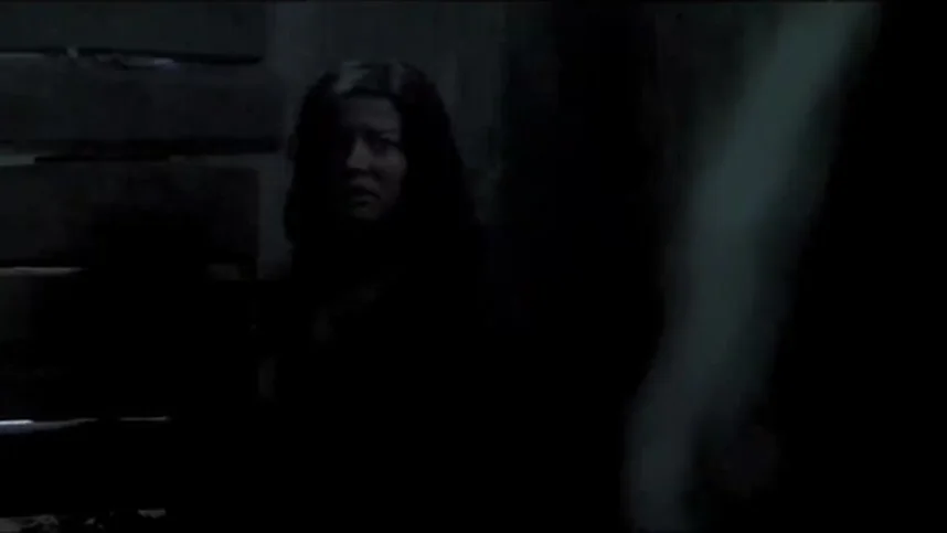 2016: Конец ночи