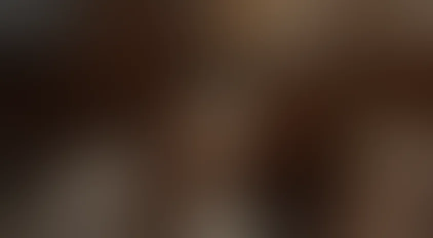 Бессмертный гарнизон