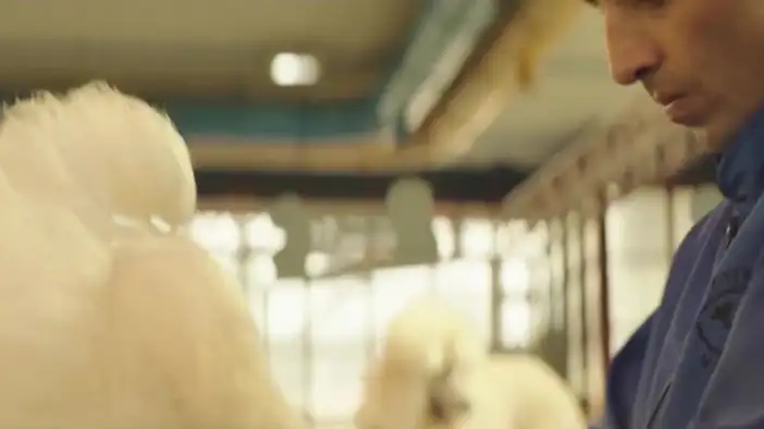 Трейлер (дублированный)