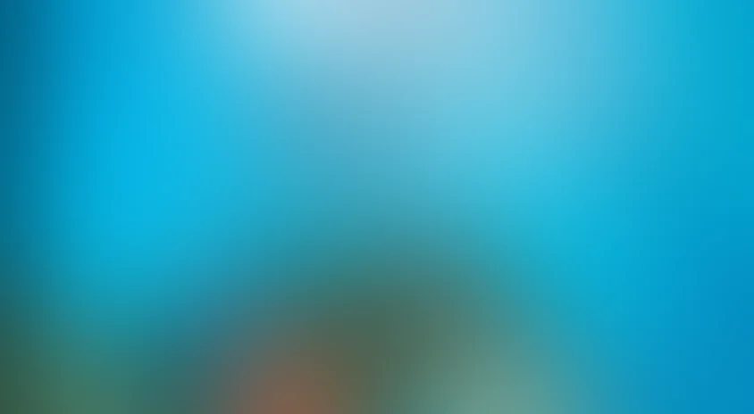 В поисках Немо (на английском языке)