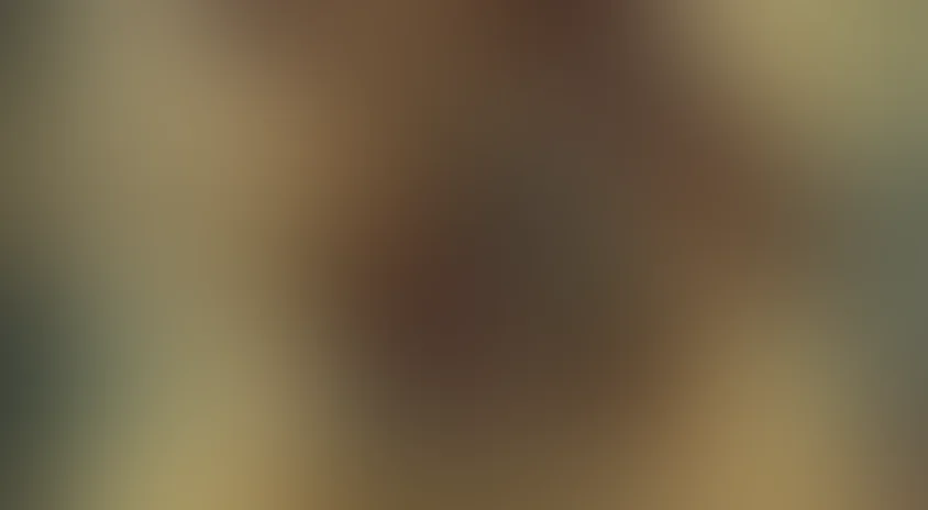 Индиана Джонс и Колесо судьбы