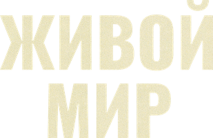 Фильм Живой мир смотреть онлайн