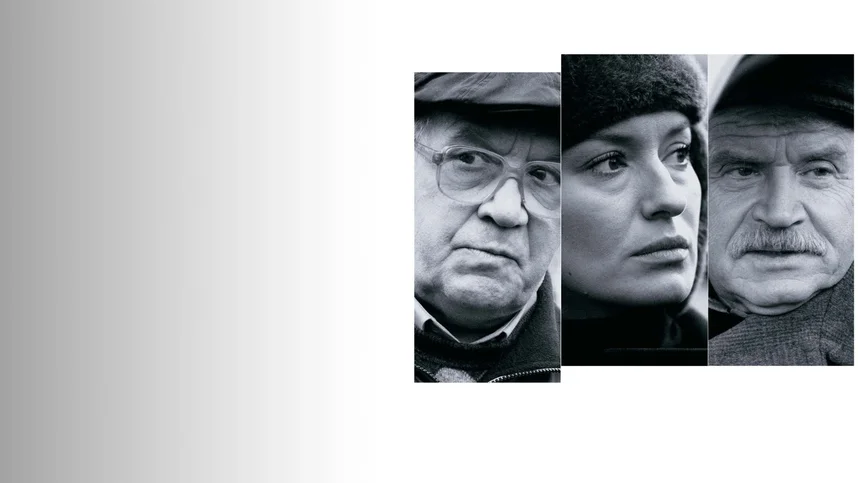 Старики-полковники