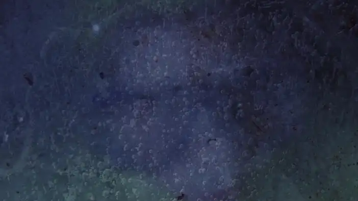 Трейлер (русский язык)