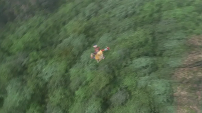 Монстры на острове