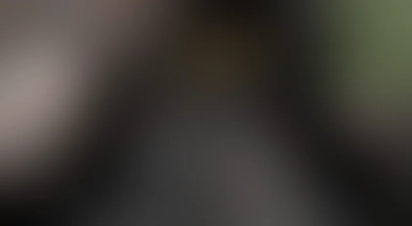 Ветер, который качает вереск