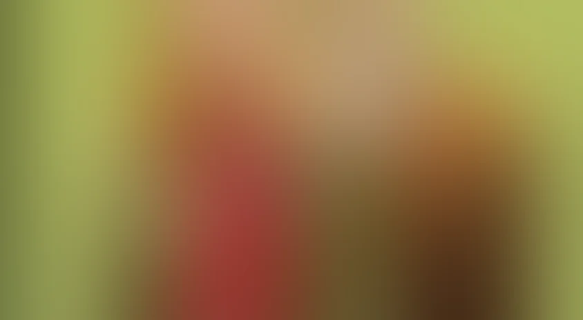 Анонимные романтики